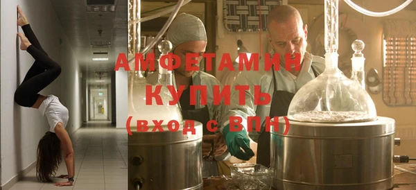гидра Вязьма