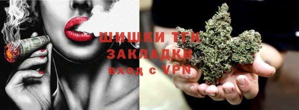 гидра Вязьма