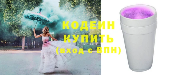 гашик Лабытнанги