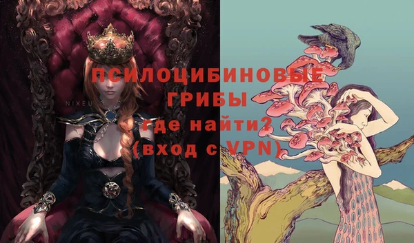 гашик Горно-Алтайск