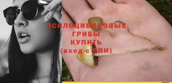 соль ск Горнозаводск