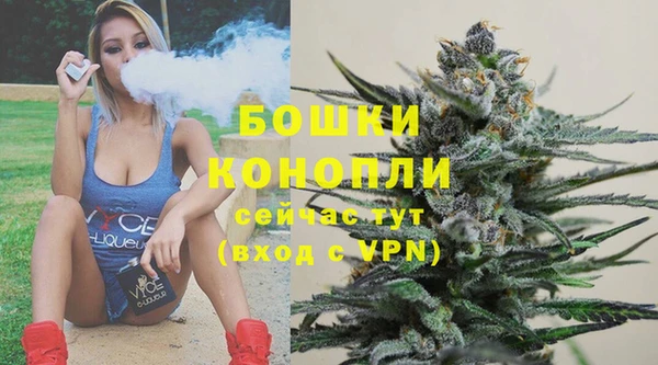дурь Лагань