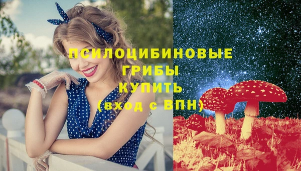 гашик Горно-Алтайск