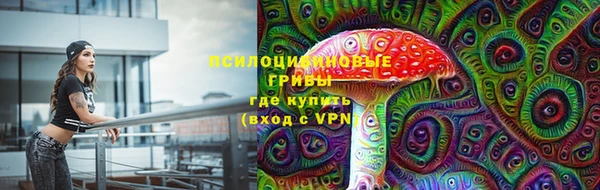 герыч Ладушкин