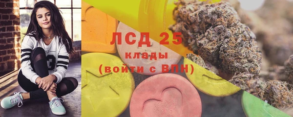 соль ск Горнозаводск