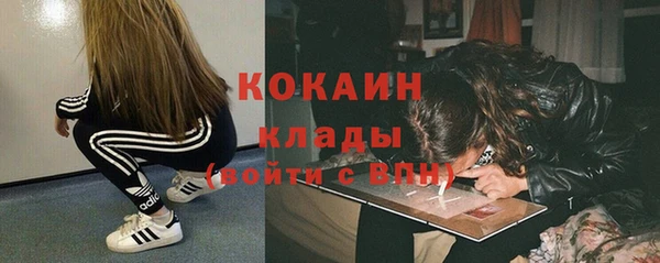 молекула духа Липки
