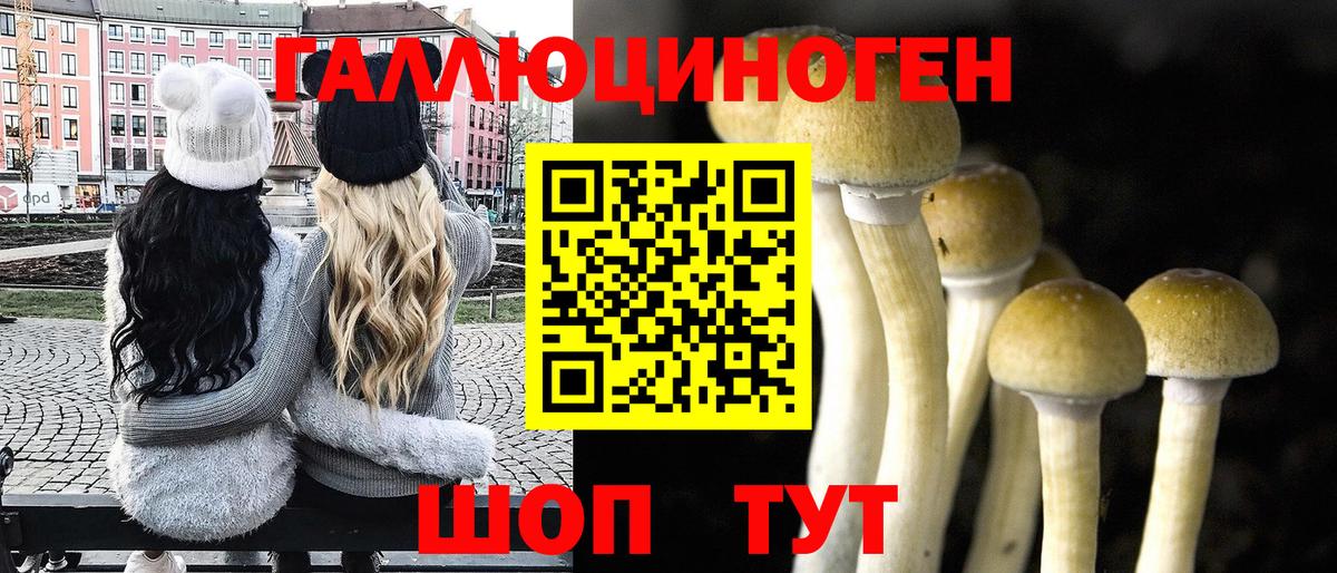 Псилоцибиновые грибы прущие грибы  Медногорск 