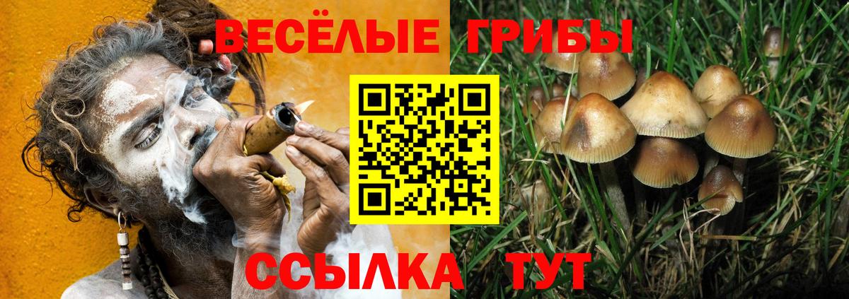 Галлюциногенные грибы GOLDEN TEACHER Медногорск